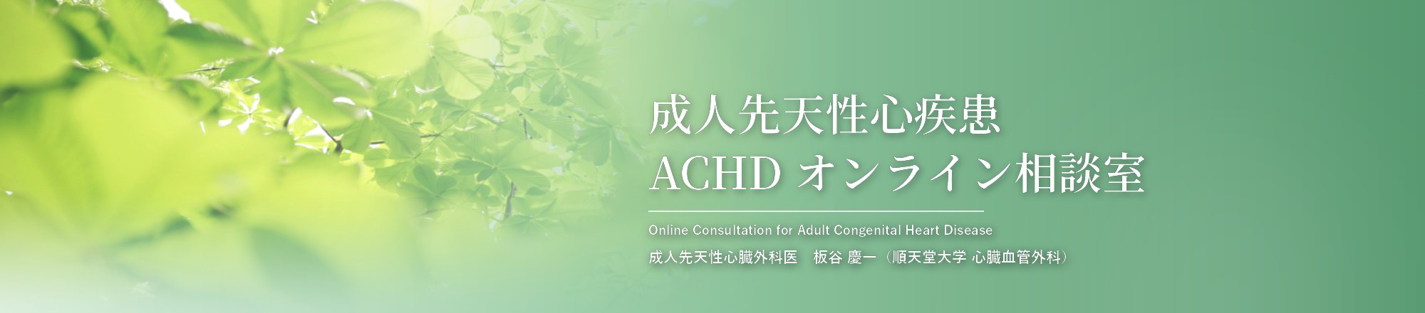 成人先天性心疾患 ACHDオンライン相談室　成人先天性心臓外科医 板谷慶一（順天堂大学 心臓血管外科）